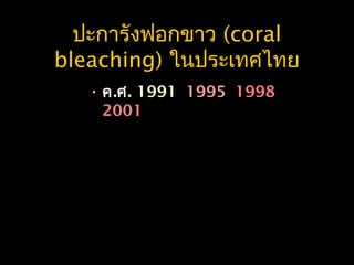 ปะการังฟอกขาว (coral
bleaching) ในประเทศไทย
• ค.ศ. 1991, 1995, 1998
2001
 