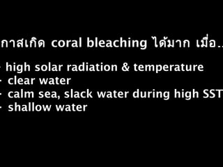 กาสเกิด coral bleaching …ได้มาก เมื่อ
• high solar radiation & temperature
• clear water
• calm sea, slack water during high SST
• shallow water
 