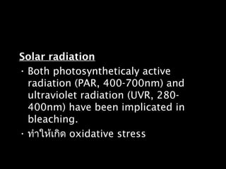 Solar radiation
• Both photosyntheticaly active
radiation (PAR, 400-700nm) and
ultraviolet radiation (UVR, 280-
400nm) have been implicated in
bleaching.
• ทำาให้เกิด oxidative stress
 