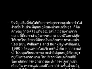 • ปัจจัยเสริมที่ก่อให้เกิดการฟอกขาวของปะการังได้
ง่ายขึ้นในช่วงที่อุณหภูมิของนำ้าทะเลขึ้นสูง ก็คือ
ลักษณะการเคลื่อนที่ของมวลนำ้า มีรายงานจาก
หลายที่ที่กล่าวอ้างถึงการฟอกขาวว่ามีโอกาสเกิด
ได้มากในบริเวณที่มีการไหลเวียนของกระแสนำ้า
น้อย (เช่น Williams and Bunkley-Williams,
1990 ) โดยเฉพาะในบริเวณที่นำ้าตื้น หากกระแส
นำ้าไม่หมุนเวียนมากพอ จะทำาให้อุณหภูมิยังคงสูง
อยู่เป็นช่วงเวลานาน ในบริเวณที่ทะเลเรียบก็มี
โอกาสเกิดการฟอกขาวของปะการังได้มากเช่น
เดียวกัน เพราะแสงแดดมีโอกาสผ่านชั้นนำ้าลงถึง
 
