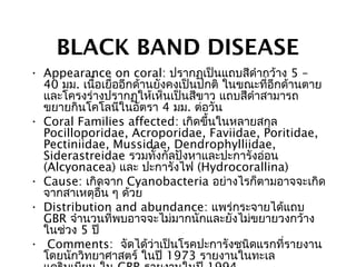BLACK BAND DISEASE
• Appearance on coral: ปรากฏเป็นแถบสีดำากว้าง 5 –
40 มม. เนื้อเยื่ออีกด้านยังคงเป็นปกติ ในขณะที่อีกด้านตาย
และโครงร่างปรากฏให้เห็นเป็นสีขาว แถบสีดำาสามารถ
ขยายกินโคโลนีในอัตรา 4 มม. ต่อวัน
• Coral Families affected: เกิดขึ้นในหลายสกุล
Pocilloporidae, Acroporidae, Faviidae, Poritidae,
Pectiniidae, Mussidae, Dendrophylliidae,
Siderastreidae รวมทั้งกัลปังหาและปะการังอ่อน
(Alcyonacea) และ ปะการังไฟ (Hydrocorallina)
• Cause: เกิดจาก Cyanobacteria อย่างไรก็ตามอาจจะเกิด
จากสาเหตุอื่น ๆ ด้วย
• Distribution and abundance: แพร่กระจายได้แถบ
GBR จำานวนที่พบอาจจะไม่มากนักและยังไม่ขยายวงกว้าง
ในช่วง 5 ปี
• Comments: จัดได้ว่าเป็นโรคปะการังชนิดแรกที่รายงาน
โดยนักวิทยาศาสตร์ ในปี 1973 รายงานในทะเล
 