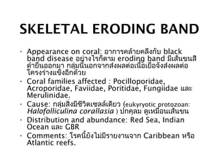 SKELETAL ERODING BAND
• Appearance on coral: อาการคล้ายคลึงกับ black
band disease อย่างไรก็ตาม eroding band มีเส้นขนสี
ดำายื่นออกมา กลุ่มนี้นอกจากส่งผลต่อเนื้อเยื่อจังส่งผลต่อ
โครงร่างแข็งอีกด้วย
• Coral families affected : Pocilloporidae,
Acroporidae, Faviidae, Poritidae, Fungiidae และ
Merulinidae.
• Cause: กลุ่มสิ่งมีชีวิตเซลล์เดียว (eukyryotic protozoan:
Halofolliculina corallasia ) ปกคุลม ดูเหมือนเส้นขน
• Distribution and abundance: Red Sea, Indian
Ocean และ GBR
• Comments: โรคนี้ยังไม่มีรายงานจาก Caribbean หรือ
Atlantic reefs.
 
