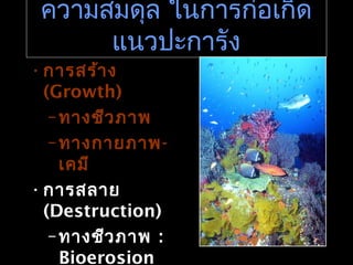 ความสมดุล ในการก่อเกิด
แนวปะการัง
•การสร้าง
(Growth)
–ทางชีวภาพ
–ทางกายภาพ-
เคมี
•การสลาย
(Destruction)
–ทางชีวภาพ :
Bioerosion
 