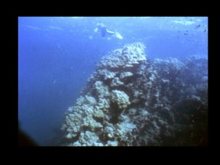 Coral lec02