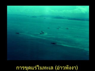 การขุดแร่ในทะเล (อ่าวพังงา)
 