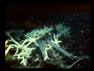 Coral lec02