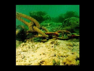Coral lec02