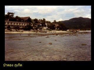 ป่าตอง ภูเก็ต
 