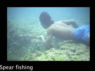 Spear fishing
 