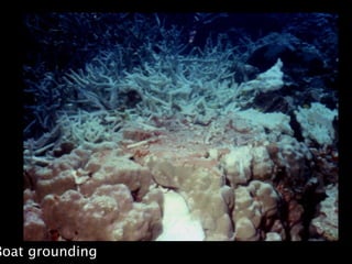 Boat grounding
 