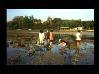 Coral lec02