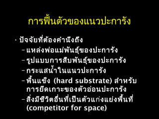 การฟื้นตัวของแนวปะการัง
• ปัจจัยที่ต้องคำานึงถึง
– แหล่งพ่อแม่พันธุ์ของปะการัง
– รูปแบบการสืบพันธุ์ของปะการัง
– กระแสนำ้าในแนวปะการัง
– พื้นแข็ง (hard substrate) สำาหรับ
การยึดเกาะของตัวอ่อนปะการัง
– สิ่งมีชีวิตอื่นที่เป็นตัวแก่งแย่งพื้นที่
(competitor for space)
 
