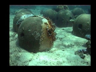 Coral lec02
