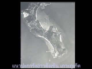 แนวปะการังอ่าวตังเข็น เกาะภูเก็ต
 