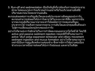5. Run-off and sedimentation เป็นปัจจัยที่เกี่ยวข้องกับการแพร่กระจาย
มักจะไม่พบแนวปะการังบริเวณปากแม่นำ้าหรือในบริเวณชายฝั่งที่มี
ปริมาณตะกอนไหลลงจากแผ่นดิน
ตะกอนส่งผลต่อการเจริญเติบโตและองค์ประกองทางสังคมของปะการัง
ตะกอนสามารถส่งผลให้ปะการังตายได้ในระยะเวลาที่สั้น นอกจากนั้น
หากตะกอนมีปริมาณมากอาจจะทำาให้ลดอัตราการทดแทนที่ของ
ประชากรได้ รวมถึงความหลากหลาย การเติบโตและปกคุลมพื้นที่จนนำา
ไปสู่การเปลี่ยนแปลงรูปทรงของปะการัง
อย่างไรก็ตามปะการังมีกลไปในการกำาจัดตะกอนออกจากโคโลนีได้ โดยวิธี
active and passive sediment rejection กลยุทธ์ที่ใช้ในขบวนการ
active ได้แก่ polyp expansion tentacular and cilliary movement
sediment ingestion and mucus formation อย่างไรก็ตามขบวนการ
เหล่านี้เป็นการสูญเสียพลังงานค่อนข้าง ซึ่งหากมีการใช้อย่างต่อเนื่อง
ช่วงระยะเวลาหนึ่งอาจส่งผลให้ปะการังอ่อนแอ และตายในที่สุด
 