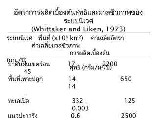 อัตราการผลิตเบื้องต้นสุทธิและมวลชีวภาพของ
ระบบนิเวศ
(Whittaker and Liken, 1973)
ระบบนิเวศ พื้นที่ (x106
km2
) ค่าเฉลี่ยอัตรา
ค่าเฉลี่ยมวลชีวภาพ
การผลิตเบื้องต้น
(กก./ปี)
สุทธิ (กรัม/ม2
/ปี)
ป่าดิบฝนเขตร้อน 17 2200
45
พื้นที่เพาะปลูก 14 650
14
ทะเลเปิด 332 125
0.003
แนวปะการัง 0.6 2500
 