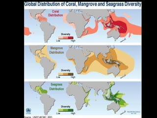 Coral lec02