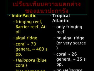 เปรียบเทียบความแตกต่าง
ของแนวปะการัง
• Indo-Pacific
– fringing reef,
Barrier reef, At
oll
– algal ridge
– coral ~ 70
genera, ~ 400 s
pp.
– Heliopora (blue
coral)
• Tropical
Atlantic
– only fringing
reef
– no algal ridge
(or very scarce
)
– coral ~ 26
genera, ~ 35 s
pp.
 
