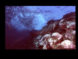 Coral lec02