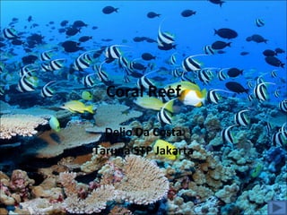 Coral Reef
Delio Da Costa
Taruna STP Jakarta
 