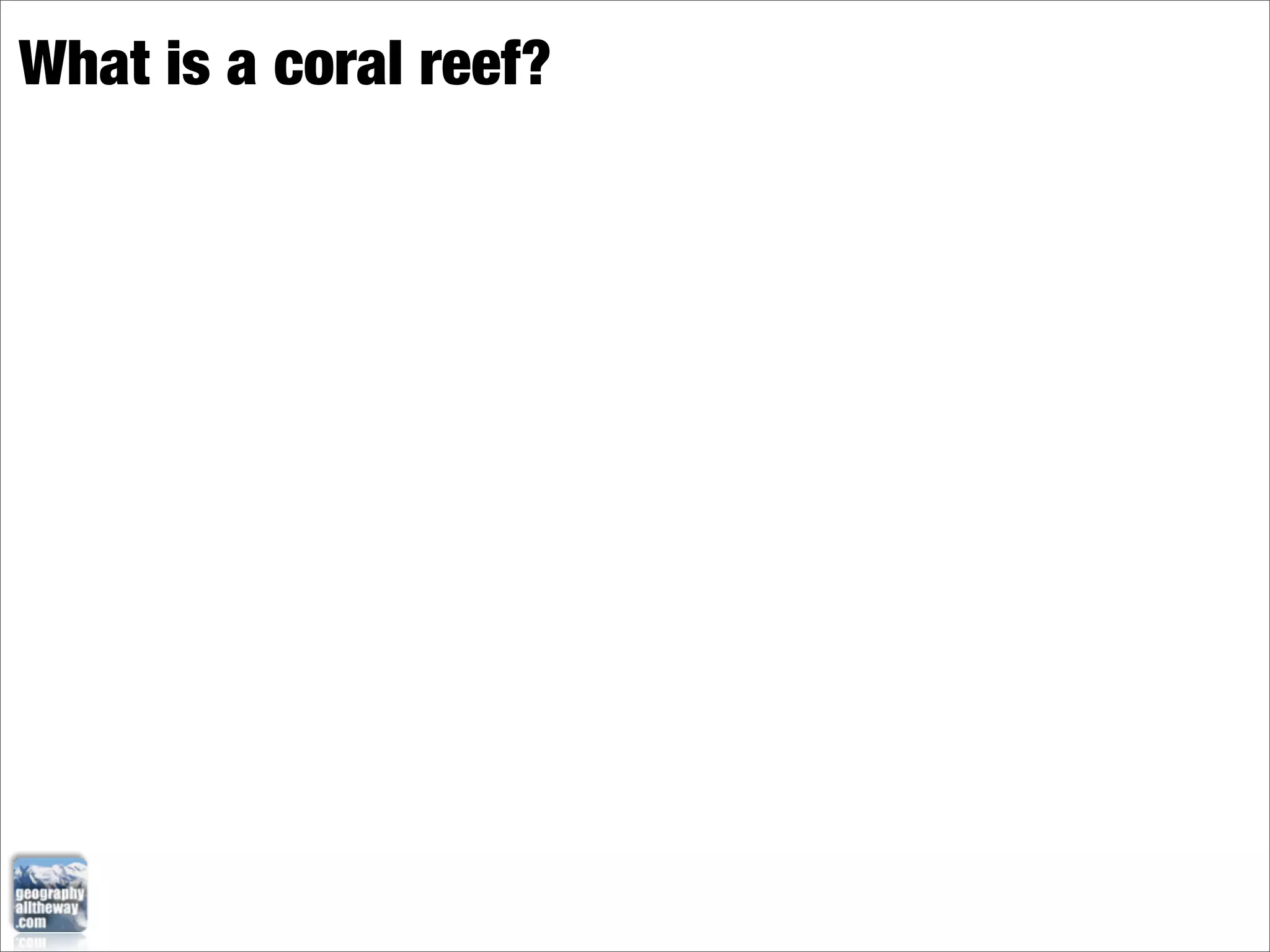 What is a coral reef?
 