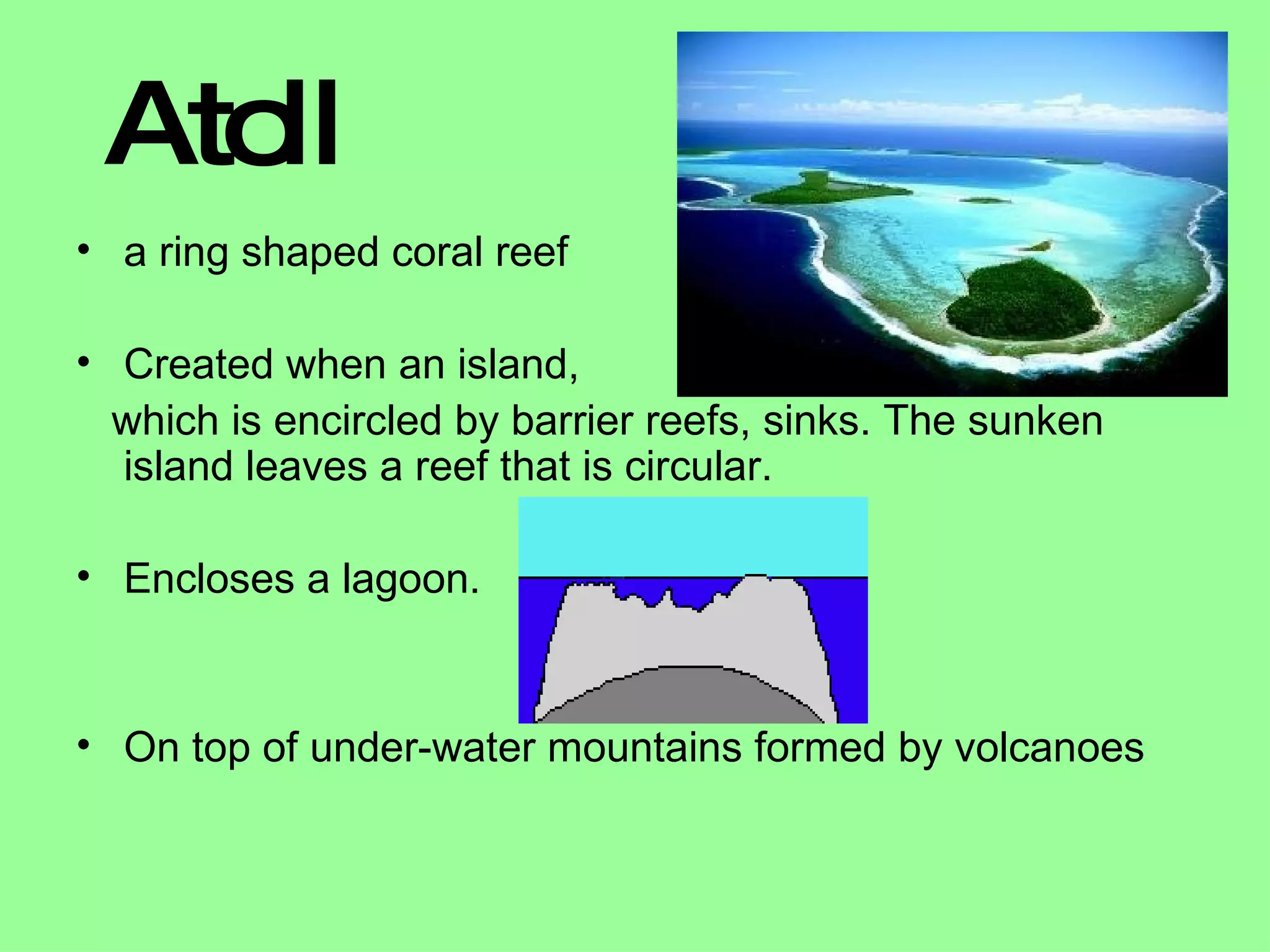 Coral Reefs | PPT