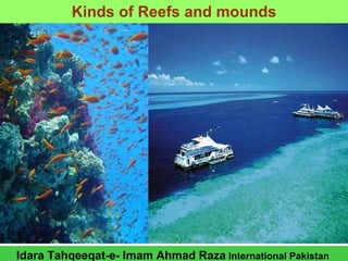 Coral and research of imam ahmad raza | PPT