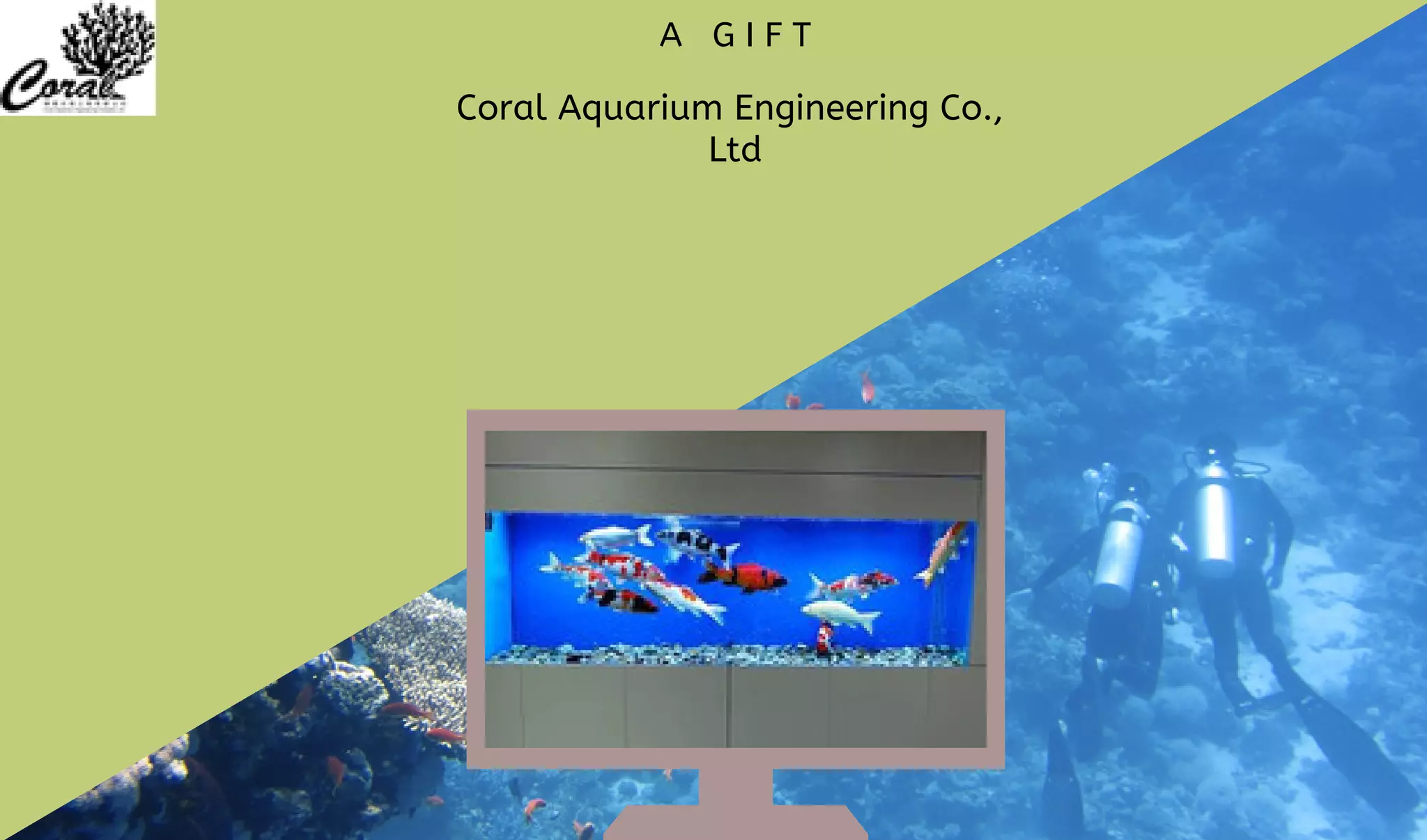 Coral Aquarium maintenance PPT
