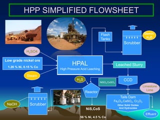 Coral Bay Update on the Palawan HPAL Project | PDF
