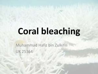 Coral bleaching
Muhammad Hafiz bin Zulkifili
UK 25364
 