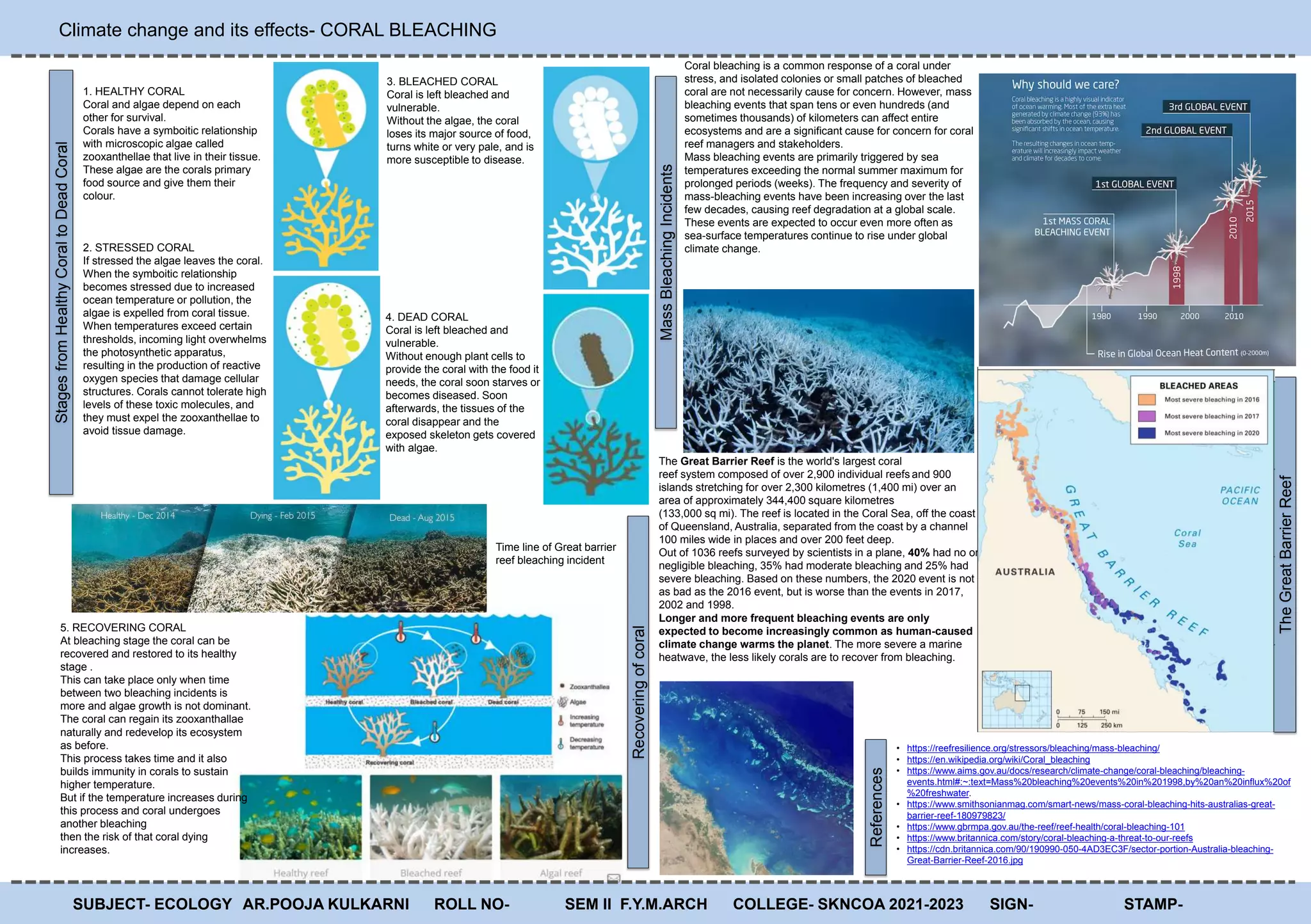 Curated visual reference: Bleaching Threshold For Reef Tank Corals Reference: Coral Bleaching Pptx
