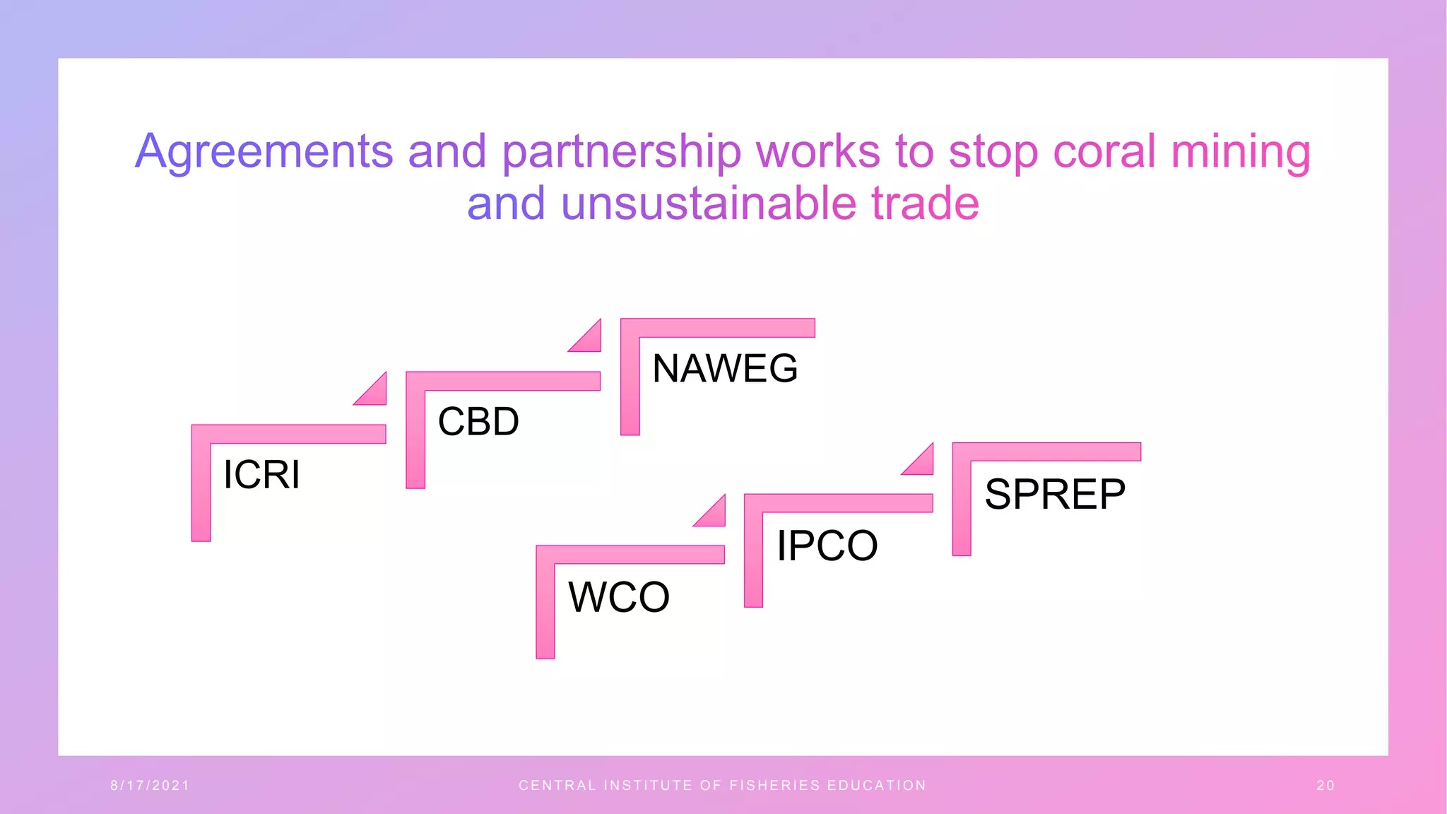 ICRI
CBD
NAWEG
8 / 1 7 / 2 0 2 1 C E N T R A L I N S T I T U T E O F F I S H E R I E S E D U C A T I O N 2 0
WCO
IPCO
SPREP
 