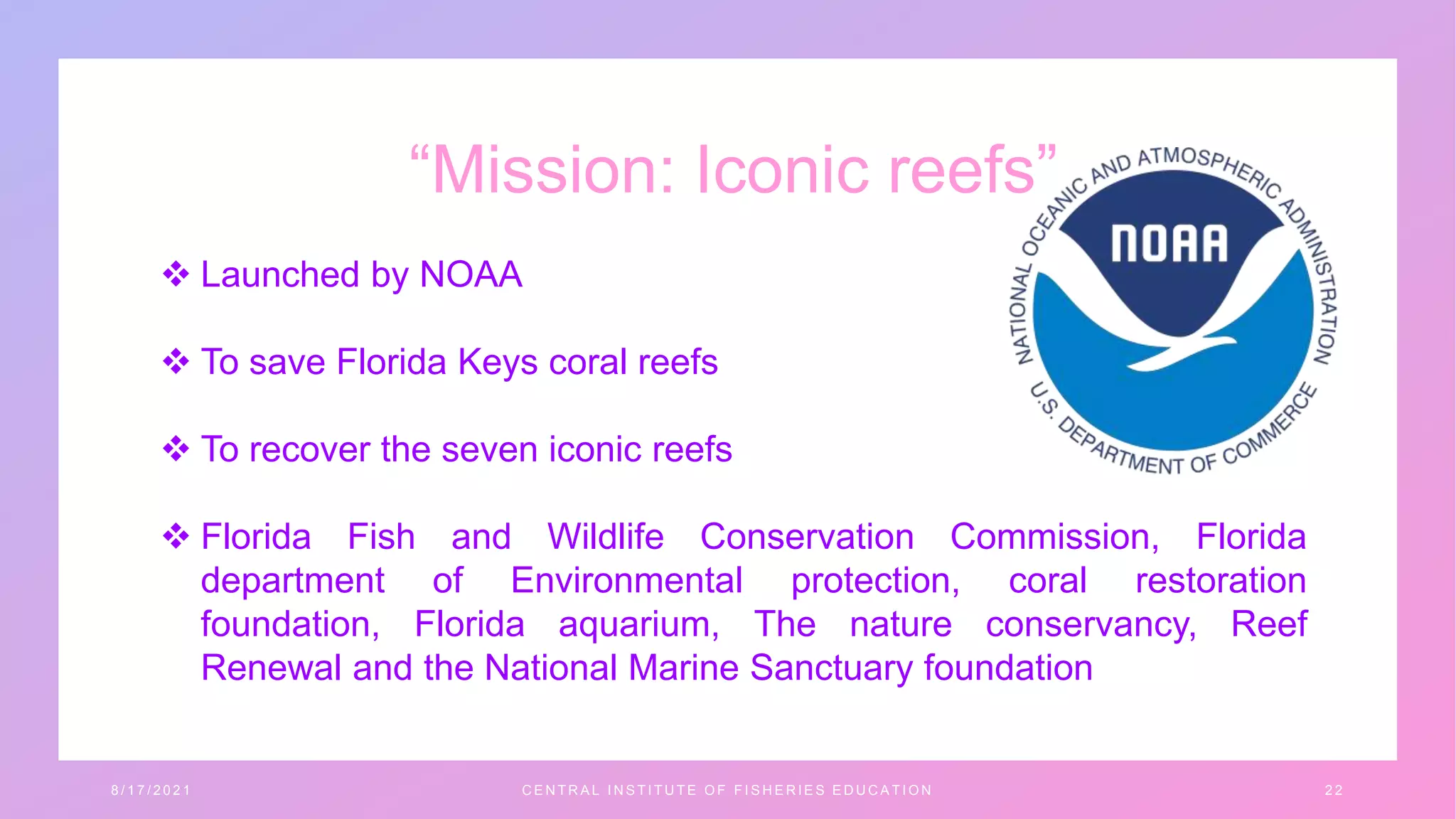 “Mission: Iconic reefs”
 Launched by NOAA
 To save Florida Keys coral reefs
 To recover the seven iconic reefs
 Florida Fish and Wildlife Conservation Commission, Florida
department of Environmental protection, coral restoration
foundation, Florida aquarium, The nature conservancy, Reef
Renewal and the National Marine Sanctuary foundation
8 / 1 7 / 2 0 2 1 C E N T R A L I N S T I T U T E O F F I S H E R I E S E D U C A T I O N 2 2
 