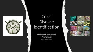 Coral
Disease
Identification
GREEN GUARDIANS
PROGRAM
BY GUILLAUME LEBOUT
 