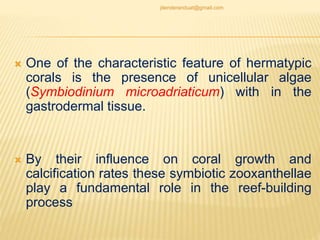  One of the characteristic feature of hermatypic
corals is the presence of unicellular algae
(Symbiodinium microadriaticum) with in the
gastrodermal tissue.
 By their influence on coral growth and
calcification rates these symbiotic zooxanthellae
play a fundamental role in the reef-building
process
jitenderanduat@gmail.com
 