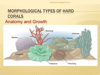 MORPHOLOGICAL TYPES OF HARD
CORALS
Anatomy and Growth
jitenderanduat@gmail.com
 