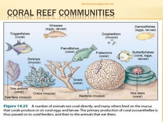CORAL REEF COMMUNITIES
jitenderanduat@gmail.com
 