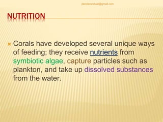 NUTRITION
 Corals have developed several unique ways
of feeding; they receive nutrients from
symbiotic algae, capture particles such as
plankton, and take up dissolved substances
from the water.
jitenderanduat@gmail.com
 