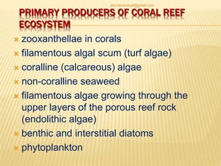 PRIMARY PRODUCERS OF CORAL REEF
ECOSYSTEM
 zooxanthellae in corals
 filamentous algal scum (turf algae)
 coralline (calcareous) algae
 non-coralline seaweed
 filamentous algae growing through the
upper layers of the porous reef rock
(endolithic algae)
 benthic and interstitial diatoms
 phytoplankton
jitenderanduat@gmail.com
 