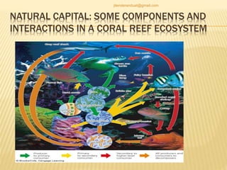 NATURAL CAPITAL: SOME COMPONENTS AND
INTERACTIONS IN A CORAL REEF ECOSYSTEM
jitenderanduat@gmail.com
 