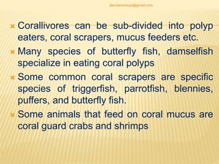  Corallivores can be sub-divided into polyp
eaters, coral scrapers, mucus feeders etc.
 Many species of butterfly fish, damselfish
specialize in eating coral polyps
 Some common coral scrapers are specific
species of triggerfish, parrotfish, blennies,
puffers, and butterfly fish.
 Some animals that feed on coral mucus are
coral guard crabs and shrimps
jitenderanduat@gmail.com
 