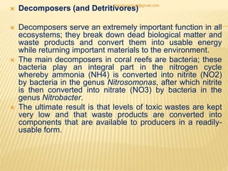  Decomposers (and Detritivores)
 Decomposers serve an extremely important function in all
ecosystems; they break down dead biological matter and
waste products and convert them into usable energy
while returning important materials to the environment.
 The main decomposers in coral reefs are bacteria; these
bacteria play an integral part in the nitrogen cycle
whereby ammonia (NH4) is converted into nitrite (NO2)
by bacteria in the genus Nitrosomonas, after which nitrite
is then converted into nitrate (NO3) by bacteria in the
genus Nitrobacter.
 The ultimate result is that levels of toxic wastes are kept
very low and that waste products are converted into
components that are available to producers in a readily-
usable form.
jitenderanduat@gmail.com
 