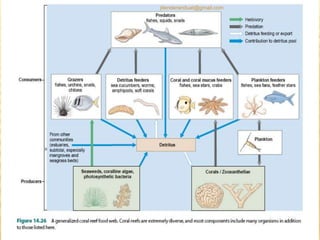 jitenderanduat@gmail.com
 