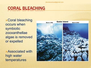 CORAL BLEACHING
Coral bleaching
occurs when
symbiotic
zooxanthellae
algae is removed
or expelled
Associated with
high water
temperatures
jitenderanduat@gmail.com
 