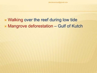  Walking over the reef during low tide
 Mangrove deforestation – Gulf of Kutch
jitenderanduat@gmail.com
 