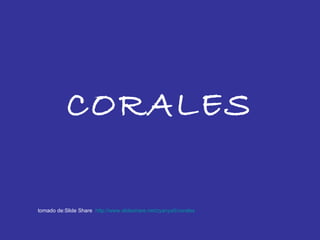 CORALES

tomado de:Slide Share http://www.slideshare.net/zyanya5/corales
 