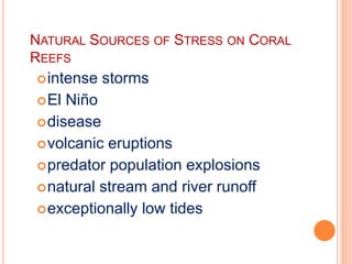 NATURAL SOURCES OF STRESS ON CORAL
REEFS
intense storms
El Niño
disease
volcanic eruptions
predator population explosions
natural stream and river runoff
exceptionally low tides
 