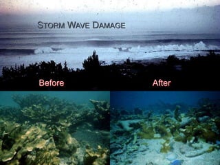 STORM WAVE DAMAGE
Before After
 