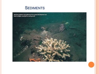 SEDIMENTS
 