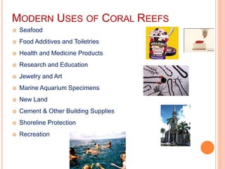 MODERN USES OF CORAL REEFS
 Seafood
 Food Additives and Toiletries
 Health and Medicine Products
 Research and Education
 Jewelry and Art
 Marine Aquarium Specimens
 New Land
 Cement & Other Building Supplies
 Shoreline Protection
 Recreation
 